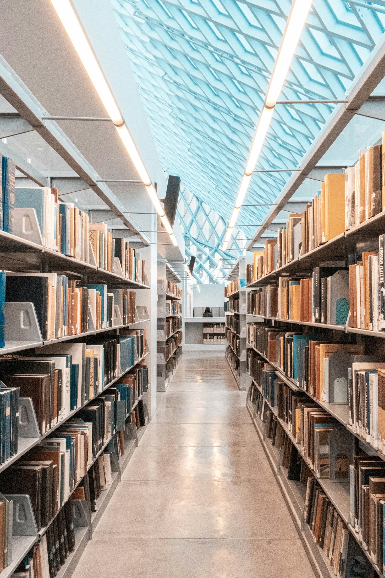 Healing Through Stories: Why Fiction Transforms Lives