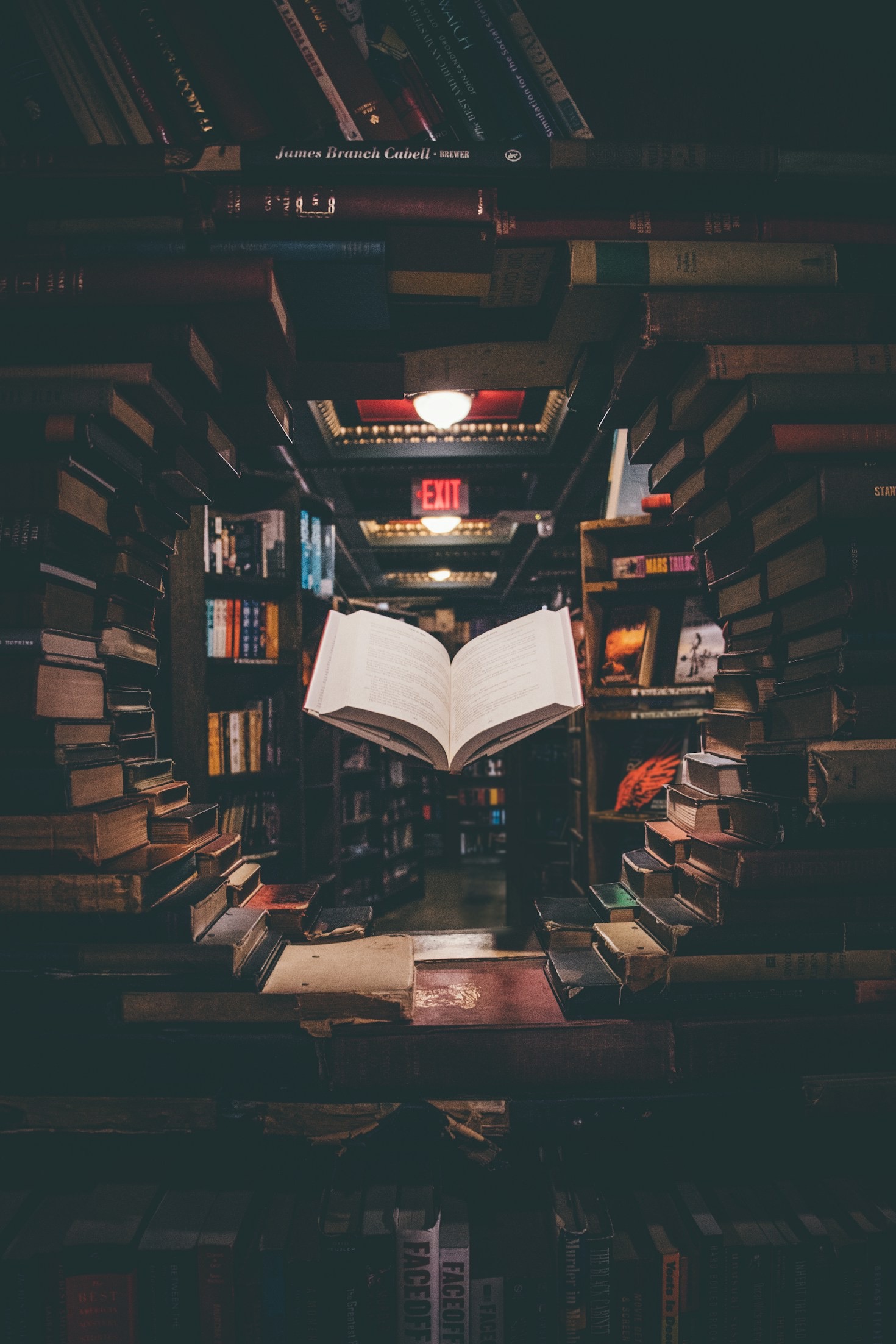 Why Reading Is the Key to Personal Growth